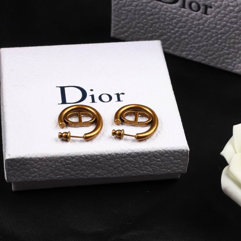 Dior Earring 04lyr282